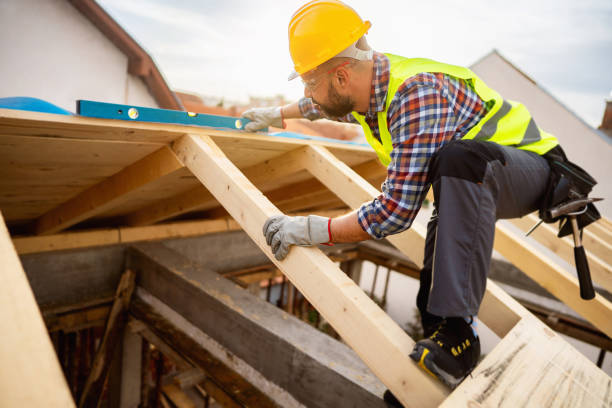 Roof Gutter Cleaning in Brandywine, MD