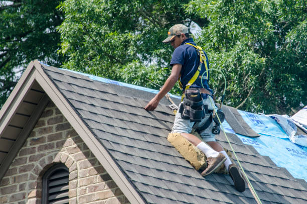 Roof Waterproofing Services in Brandywine, MD